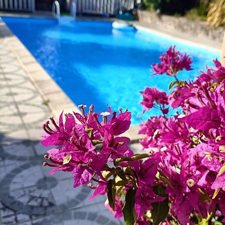 Les Bichettes Bed and Breakfast Mortagne-sur-Sevre Buitenkant foto